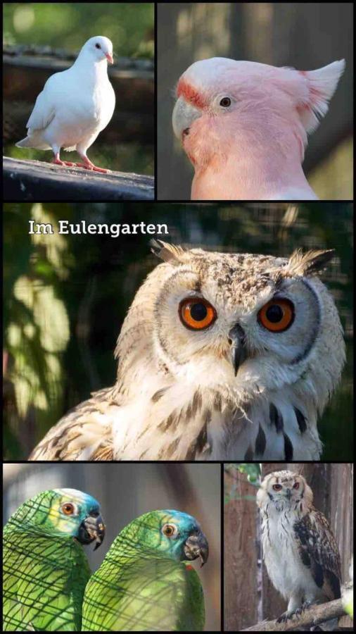 Wohnen Im Eulengarten Oranienburg Εξωτερικό φωτογραφία